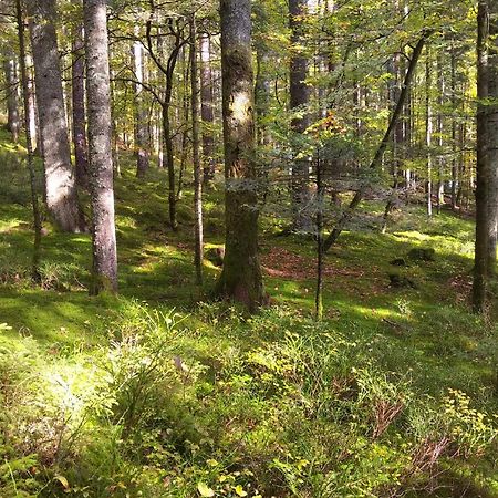 Вілла Tiny-Ferienhaeusle Casa Wendy Лосбург Екстер'єр фото